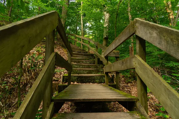 Indiana, ABD 'deki Shades State Park' ta yürüyüş yolunda tahta patika..