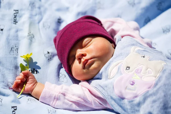 Ein Fotoporträt Eines Babys Mit Roter Mütze Liegt Auf Einem — Stockfoto