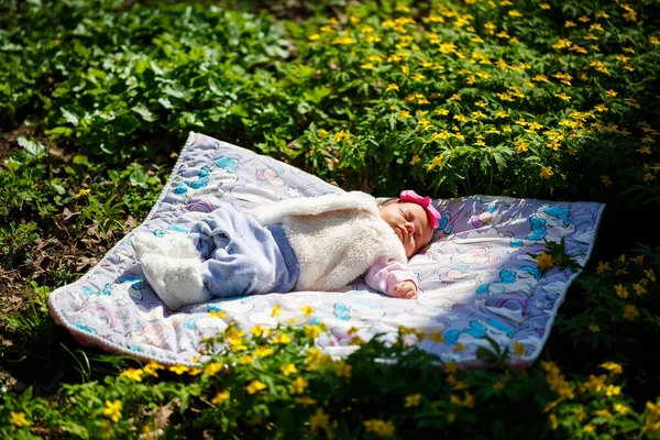 Крупный План Ребенка Бантиком Голове Лежит Белой Клетке Зеленой Траве — стоковое фото