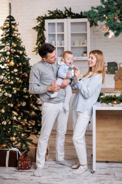 Mutlu bir aile. Mutlu genç çift ve küçük oğulları yeni yıl süslemeleri için mutfakta. Yeni yıl içleri mutfakta. Noel mutfağı. Şenlikli aile ortamı.