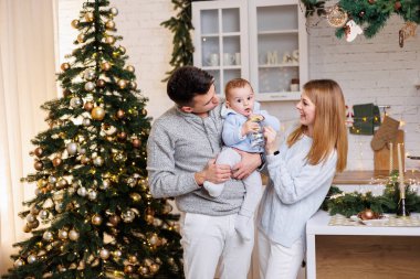 Mutlu bir aile. Mutlu genç çift ve küçük oğulları yeni yıl süslemeleri için mutfakta. Yeni yıl içleri mutfakta. Noel mutfağı. Şenlikli aile ortamı.