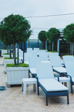 Güverte sandalyeleri havuz kenarında, rahat rahat koltuklarda dururlar.