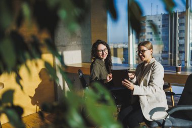 Smiling female colleagues collaborating indoors at table, woman wearing glasses and using laptop and showing partner. Business relations of serel colleagues in the office. Team work of colleagues