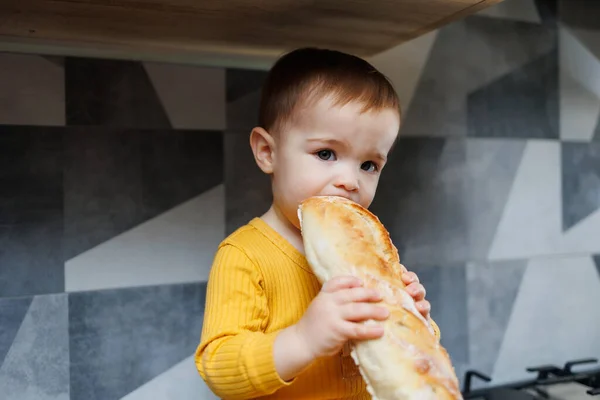 A little one-year-old boy is sitting in the kitchen and eating a long bread or baguette in the kitchen.