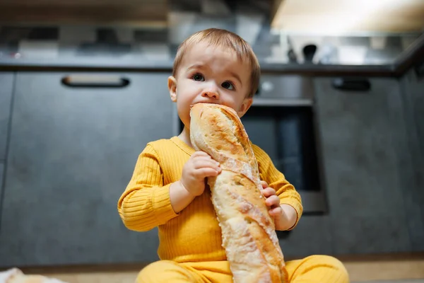 A cute one-year-old boy is sitting in the kitchen and eating a long bread or baguette in the kitchen. The first eating of bread by a child. Bread is good for children