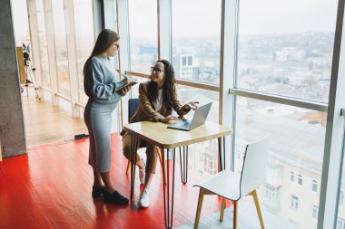 Hamile bir kadın yeni bir proje için iş arkadaşıyla ofiste çalışıyor. Bir dizüstü bilgisayara bakıyorlar. Modern, geniş bir ofiste çalışan kadın yöneticilerin işi.