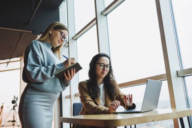 Hamile bir kadın yeni bir proje için iş arkadaşıyla ofiste çalışıyor. Bir dizüstü bilgisayara bakıyorlar. Modern, geniş bir ofiste çalışan kadın yöneticilerin işi.