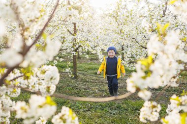 Üç yaşında neşeli bir çocuk baharda çiçek açan bir bahçede çimlerin üzerinde koşar. Neşenin çocuk simgesi, mutlu gülümseyen çocuk..