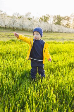 Sarı ceketli ve şapkalı üç yaşında şirin bir çocuk yeşil bir alanda koşuyor. Gülümseyen bir çocuk yeşil çimlerde koşar