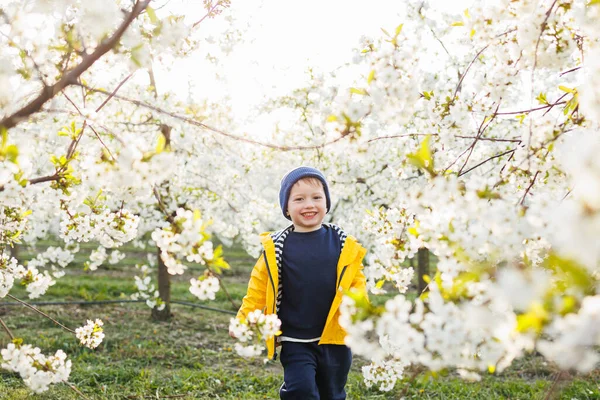 Yaşında Neşeli Bir Çocuk Baharda Çiçek Açan Bir Bahçede Çimlerin — Stok fotoğraf