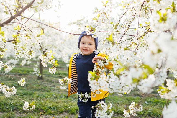 Yaşında Neşeli Bir Çocuk Baharda Çiçek Açan Bir Bahçede Çimlerin — Stok fotoğraf