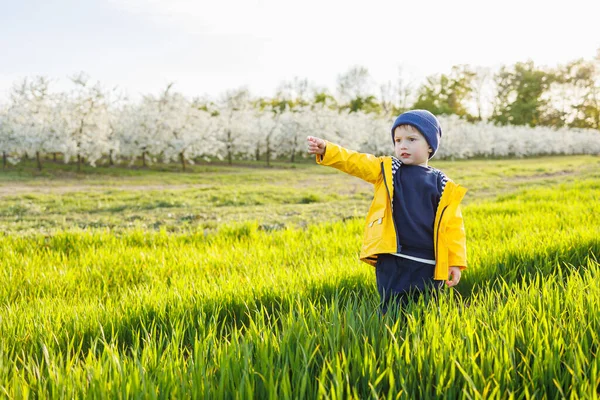 一个身穿黄色夹克头戴黄色帽子的可爱的三岁小男孩在绿地上奔跑 一个笑着的孩子在绿草上奔跑 — 图库照片