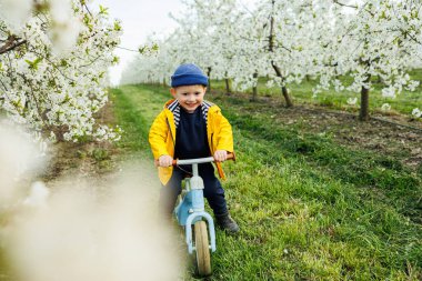 Küçük bir çocuk mavi dengeli bir bisiklete biniyor, koşuyor. Mutlu bir çocuk bahçede egzersiz bisikletinde denge kurmayı öğreniyor. Sokakta bir çocuk oynuyor. Motosikletteki ilk günüm.