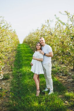 Romantik bir yerde hamilelik bekleyen genç ve güzel bir çift. Çiçek açan bir elma bahçesi. Bahçede yürürken eğlenen mutlu çift. Bir erkek bir kadının elini tutar.