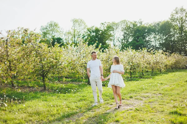 A young happy couple in anticipation of pregnancy walks through a blooming garden. Couple in love in blossoming apple trees.