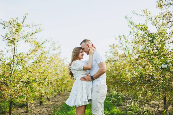 A beautiful young couple expecting a pregnancy in a romantic place, a spring blossoming apple orchard. Happy joyful couple enjoying each other while walking in the garden. A man holds a womans hand