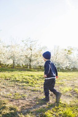 Mutlu küçük bir çocuk çiçek açan bir bahçede koşuyor. Mutlu çocukluk.