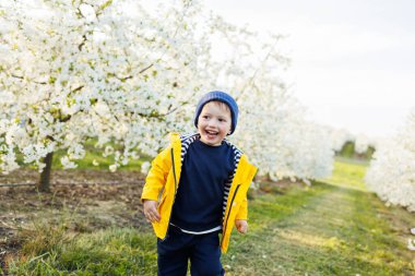 Mutlu küçük bir çocuk çiçek açan bir bahçede koşuyor. Mutlu çocukluk.