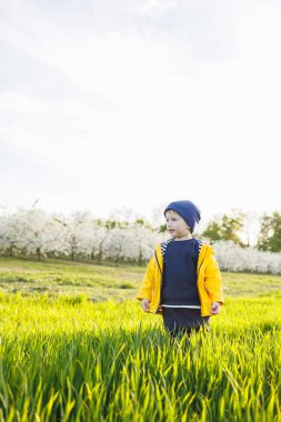 Sarı ceketli gülümseyen küçük bir çocuk çiçek açan bir bahçede koşuyor. Mutlu çocukluk.