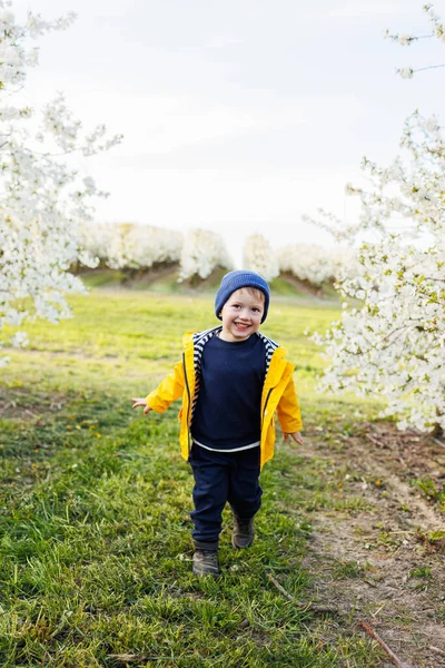 stock image A happy little boy is running in a blooming garden. Happy childhood.