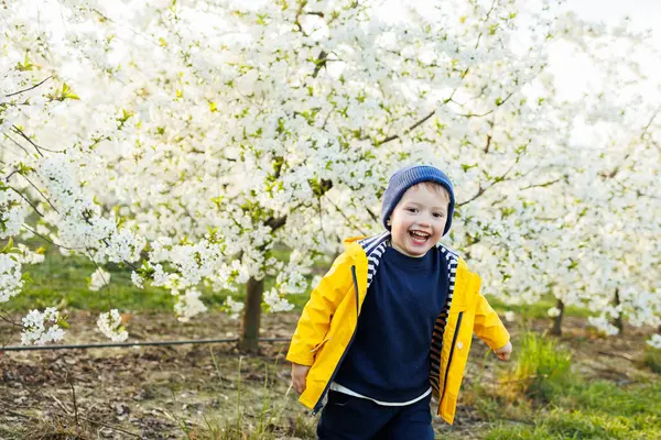 stock image A happy little boy is running in a blooming garden. Happy childhood.