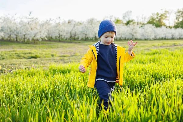 一个穿着黄色夹克的微笑的小男孩穿过一个盛开的花园 快乐的童年 — 图库照片