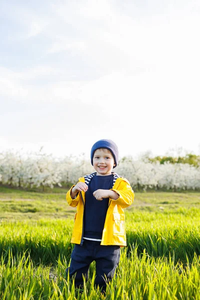 stock image A smiling little boy in a yellow jacket runs through a blooming garden. Happy childhood.