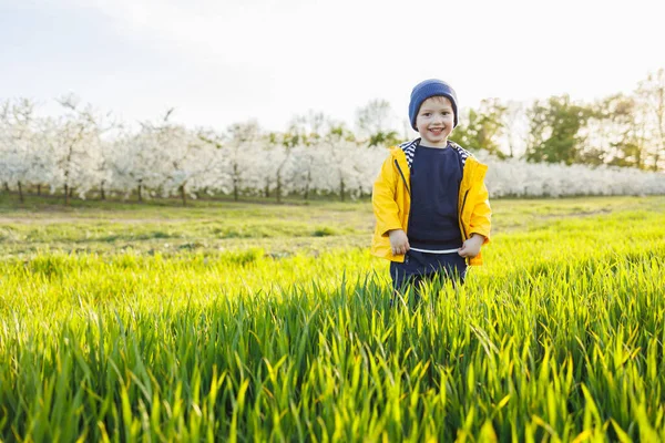 一个穿着黄色夹克的微笑的小男孩穿过一个盛开的花园 快乐的童年 — 图库照片