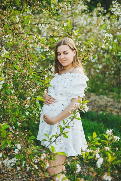 Una Joven Embarazada Con Vestido Blanco Camina Huerto Manzanas Flor —  Fotos de Stock