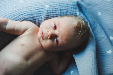 Yeni doğmuş bir bebeğin yakın plan fotoğrafı. Yeni doğmuş bir bebek kameraya bakıyor. Yeni doğmuş bir bebeğin gözlerini aç.