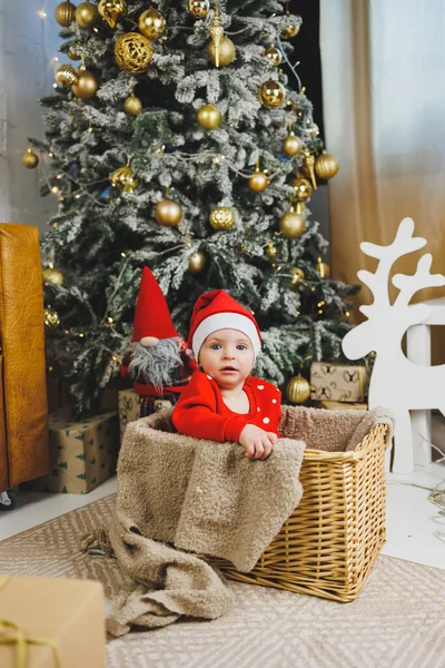 little one-year-old boy near the Christmas tree. an idea for a children\'s photo for the new year. studio New Year decoration. Christmas gifts, red children\'s festive costume