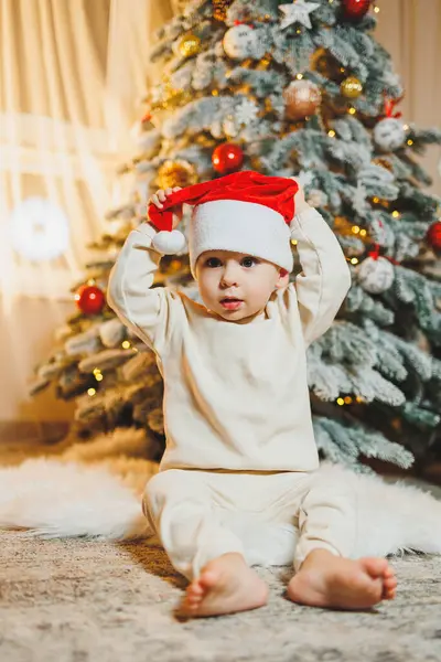 Noel Baba şapkalı, Noel ağacı olan şirin bir çocuk. Çocuklar için yeni yıl. Noel ağacı. Evde Noel atmosferi.