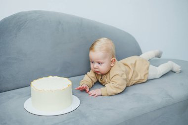 4 aylık küçük bir çocuk tatlı bir pastaya doğru sürünüyor. Yeni doğmuş bej elbiseli bir çocuk kanepenin üzerinde kekin üzerinde sürünüyor..