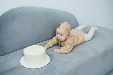 4 aylık küçük bir çocuk tatlı bir pastaya doğru sürünüyor. Yeni doğmuş bej elbiseli bir çocuk kanepenin üzerinde kekin üzerinde sürünüyor..