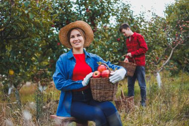 Elma bahçesindeki şapkalı genç kadın. Şapkalı kadınlar doğanın arka planında kırmızı elma toplarlar. Bahçede elma hasadı. Bahçede sonbahar mevsimi