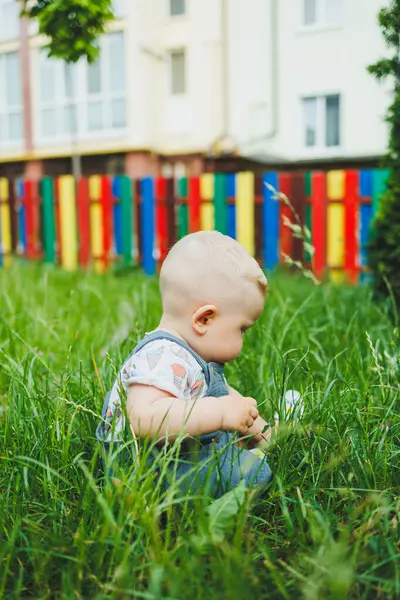 Açık renk saçlı, tişörtlü bir çocuk çimenlerde otururken oynuyor. Çocuk gelişimi.