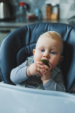 Bir erkek bebek lezzetli bir avokado yer. Bebeğin ilk yemeği. Çocuk bir avokado yiyor.