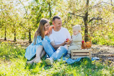 Father and mother holding little son in nature, concept of beautiful family bonds. Family portrait of parents with a little son. The concept of a happy family clipart