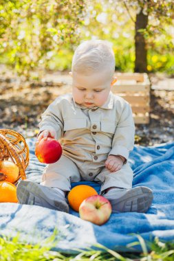 10 aylık bir bebek doğada oturur ve bir elma yer. Küçük çocuk taze meyve yiyor..