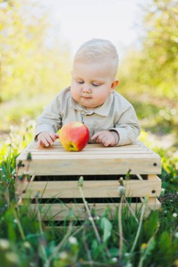 10 aylık bir bebek doğada oturur ve bir elma yer. Küçük çocuk taze meyve yiyor..