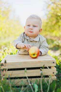 10 aylık bir bebek doğada oturur ve bir elma yer. Küçük çocuk taze meyve yiyor..