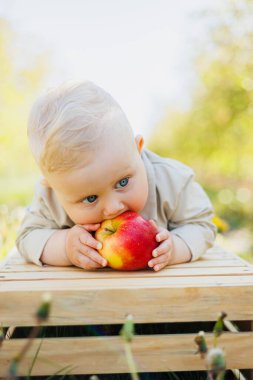 10 aylık bir bebek doğada oturur ve bir elma yer. Küçük çocuk taze meyve yiyor..