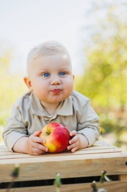 10 aylık bir bebek doğada oturur ve bir elma yer. Küçük çocuk taze meyve yiyor..