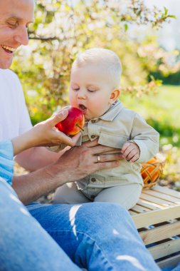 10 aylık bir bebek doğada oturur ve bir elma yer. Küçük çocuk taze meyve yiyor..