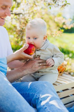 10 aylık bir bebek doğada oturur ve bir elma yer. Küçük çocuk taze meyve yiyor..