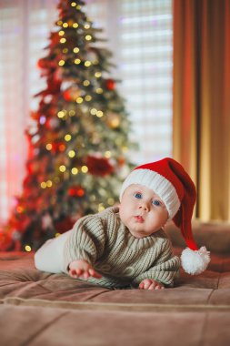 Noel Baba şapkalı bir çocuk Noel ağacının arka planında. Örgü kazak giyen bir bebek..