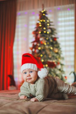 Noel Baba şapkalı bir çocuk Noel ağacının arka planında. Örgü kazak giyen bir bebek..