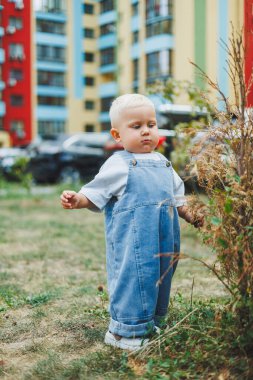 Kot pantolon giymiş, 1 yaşında bir erkek bebek sokakta yürüyor. Büyük boy çocuk tulumu. Çocuk parkında şık küçük bir çocuk.