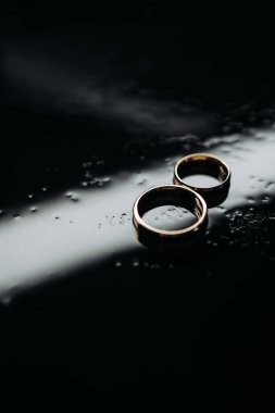 Yeni evlilere altın alyanslar. İki kişilik değerli nikah yüzüğü..