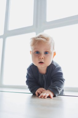 Sarışın bebek evde yerde sürünüyor. Çocuk gelişimi. Çocuk emeklemeyi öğreniyor.